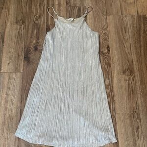 Francesca's Metallic Silver Pleated Slip